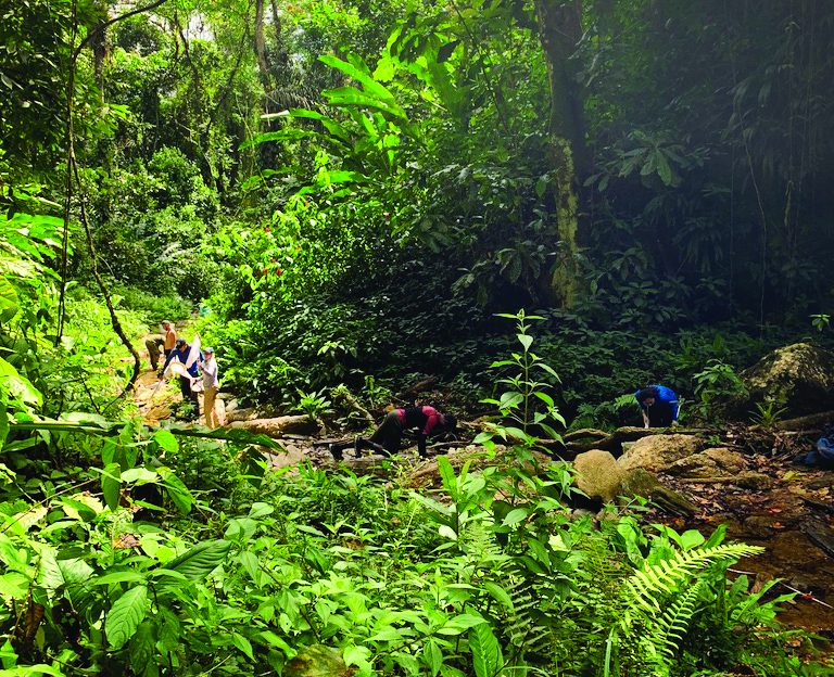 Students working alongside a stream in a green jungle