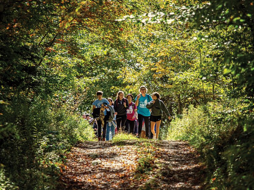 A group of students walk on a trail in the woods.