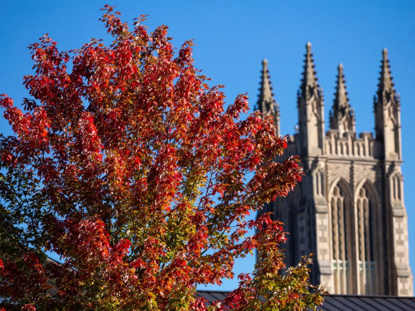a tree with red leaves in front of the Chapin Memorial Hall tower