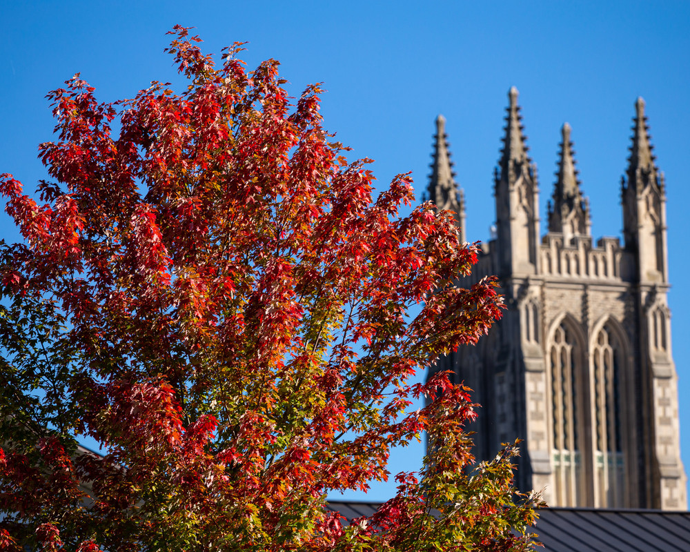 RS130378__MG_1721-scr a tree with red leaves in front of the Chapin Memorial Hall tower