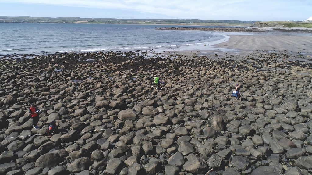 Photo of students doing research on Ireland's coast.
