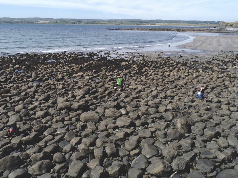 Photo of students doing research on Ireland's coast.