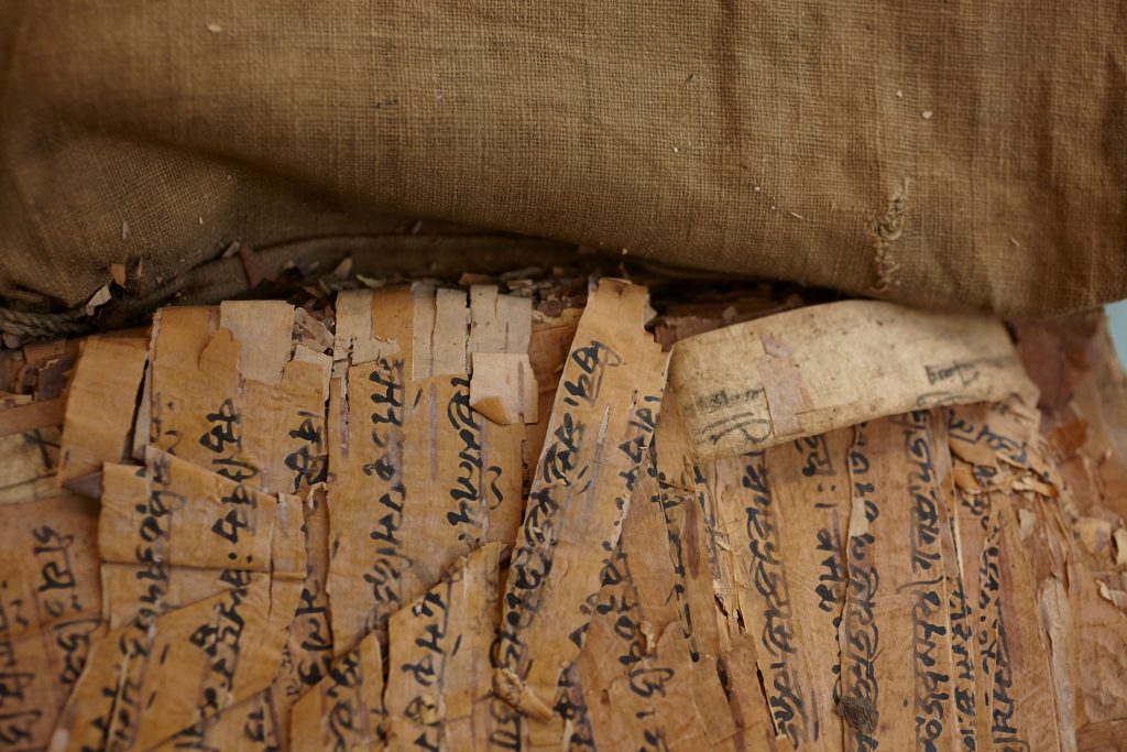birch-bark Close up image of birch bark manuscript.