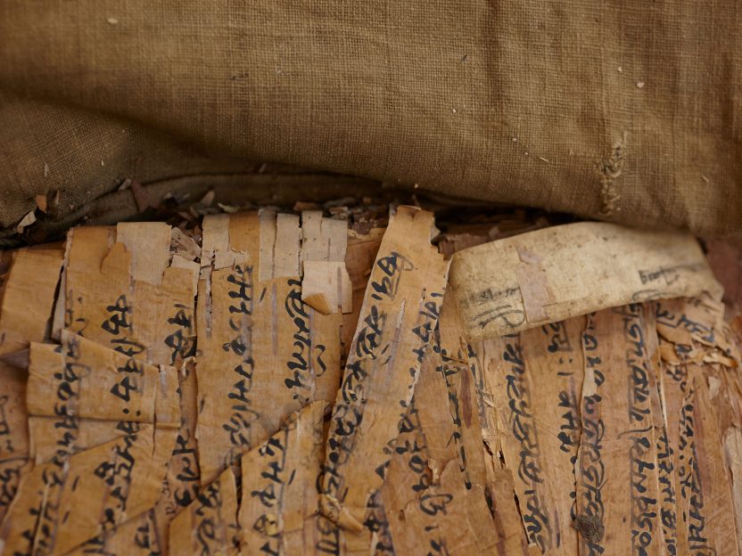 Close up image of birch bark manuscript.