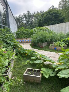 A wide view of the garden.