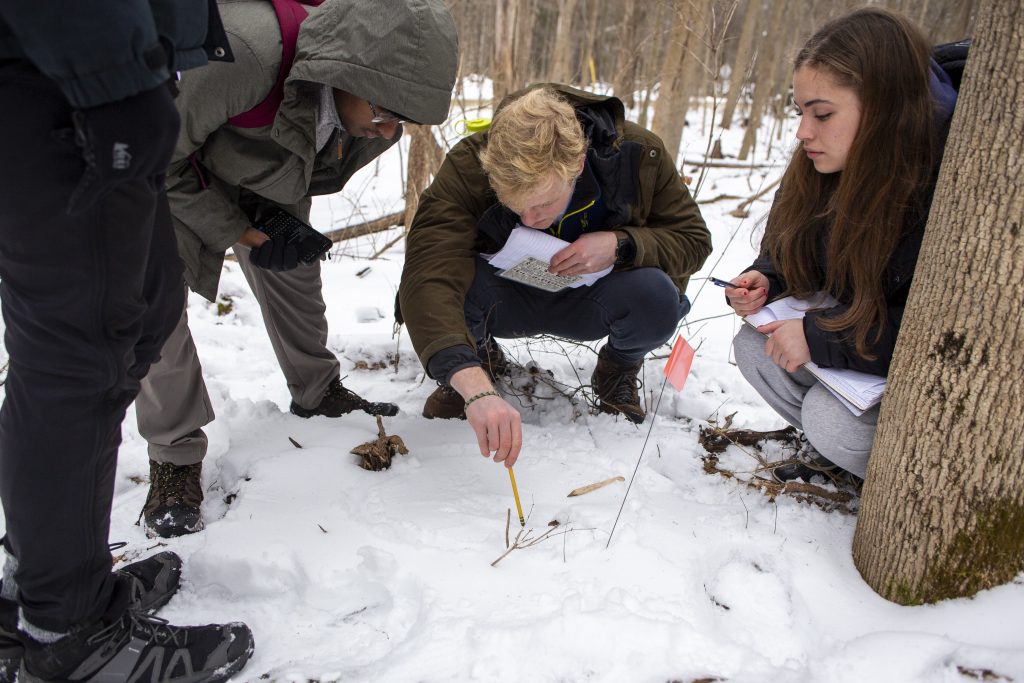 Students observe animal prints in a snow covered forest.