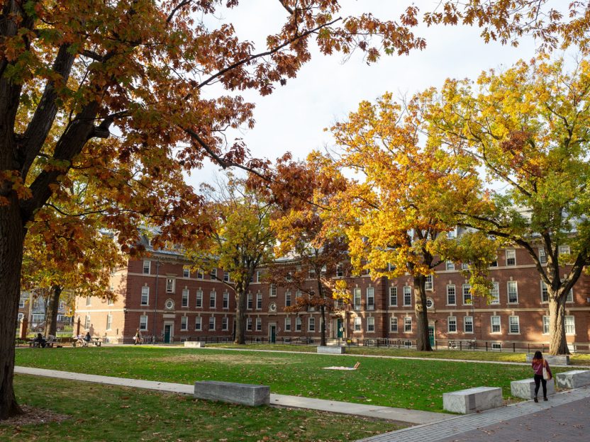 Frosh quad