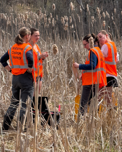 Professor Amy Gill leads a group of three students doing fieldwork