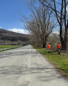 Two students in orange vests walk along a road with trees
