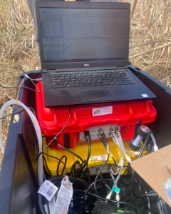 A computer sits on a red toolbox surrounded by reeds and grasses