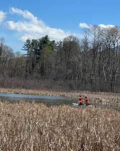 Two people in orange vests kayak on a lake in a marsh