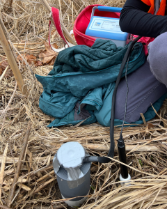 Collected samples sit on the ground surrounded by reeds