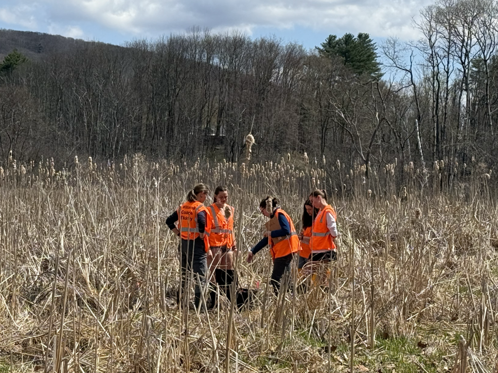 AllisonGillFeaturedImage Professor Allison Gill (third from right) points out something to her students in the marshes of Eph Pond.