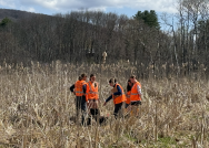 Professor Allison Gill (third from right) points out something to her students in the marshes of Eph Pond.
