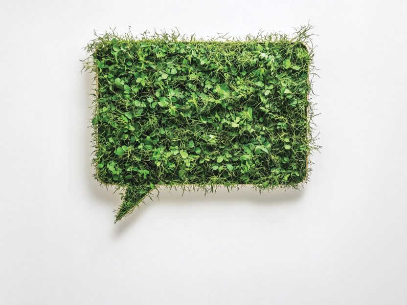 Illustration of a speech bubble composed of green plants.